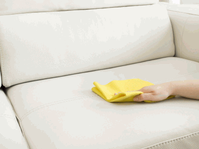 Cleaning The Urine Stain