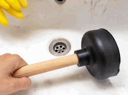 Plunger For A Drain