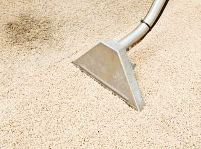 Carpet Cleaning for