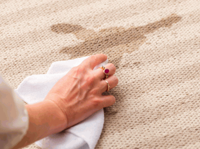 Stain Remover for rugs
