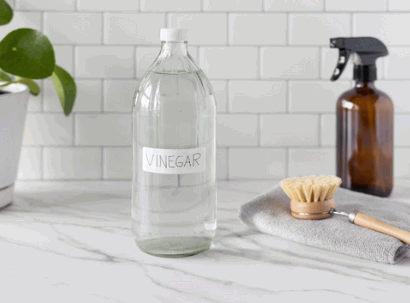Type Of Vinegar Should Be Used