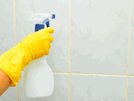 Prevent Black Mold From Growing In Your Bathroom