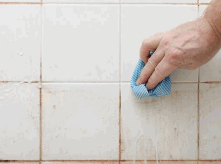 Removing black mold from bathroom walls