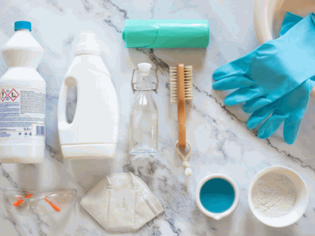 The Tools And Materials Needed For Removing Black Mold