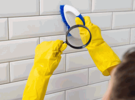 Tips For Keeping Your Bathroom Dry And Mold Free